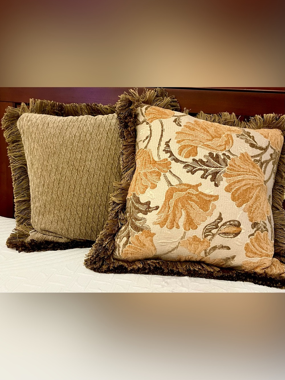 Arhaus Reversible Tapestry & Chenille Fringe Throw Pillows w/ Down Inserts - Set - Picture 16 of 16